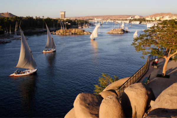 Day Tour Abu Simbel from Aswan