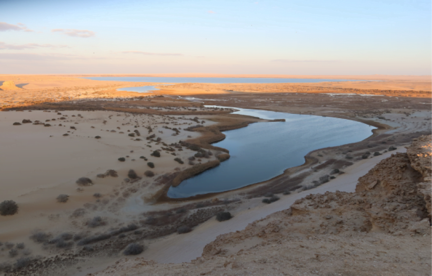 Day Tour from Cairo to Fayoum Oasis