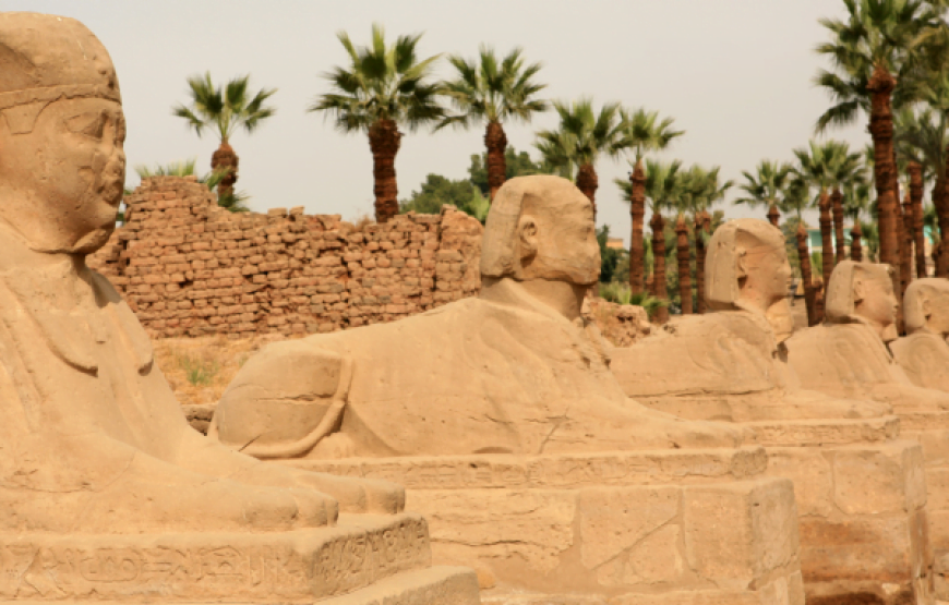 Half Day Tour of the East Bank of Luxor