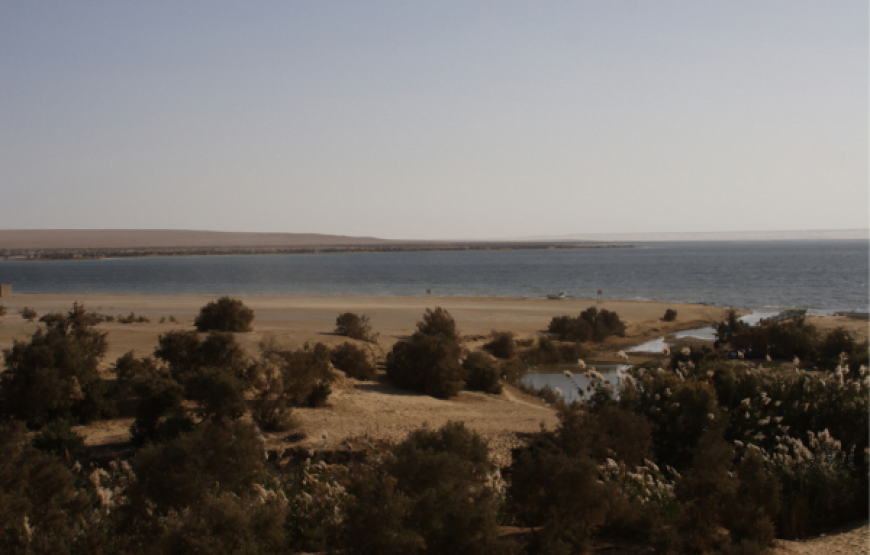 Day Tour from Cairo to Fayoum Oasis