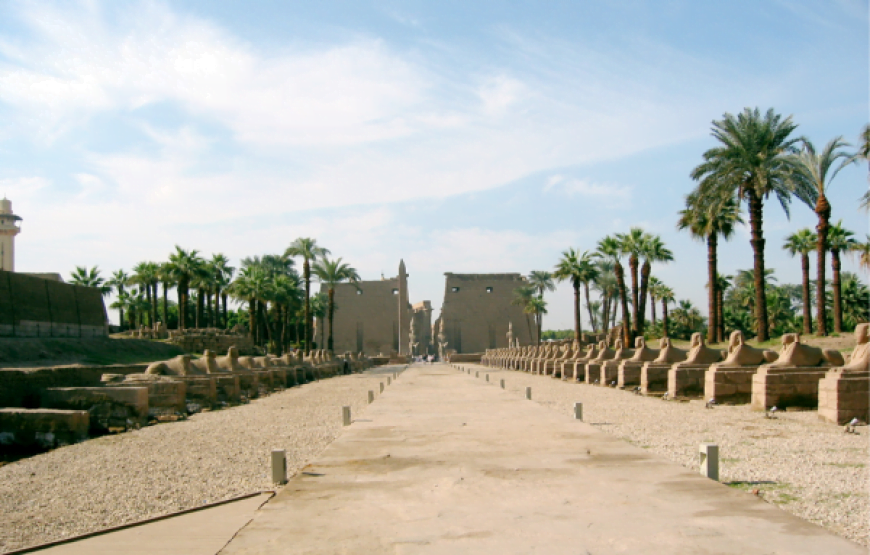 Private Transfer from Luxor to Cairo