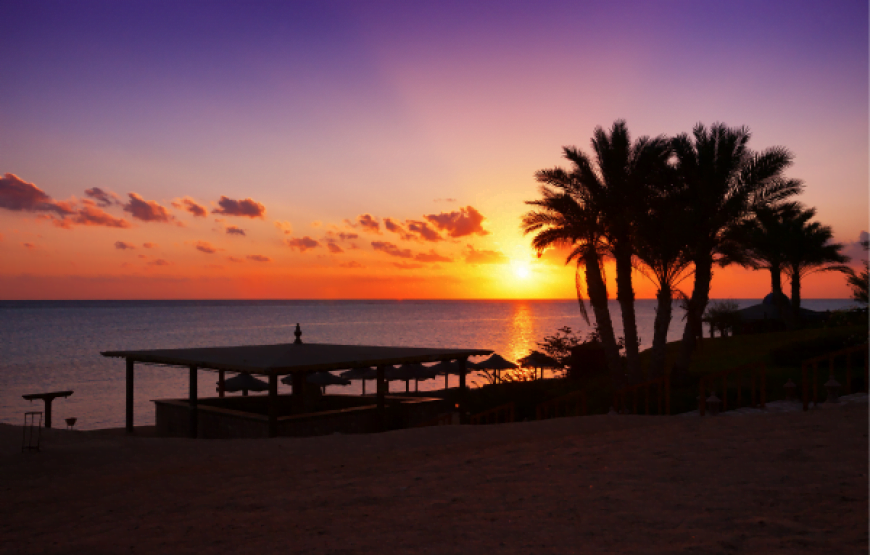 Private Transfer from Luxor to Marsa Alam