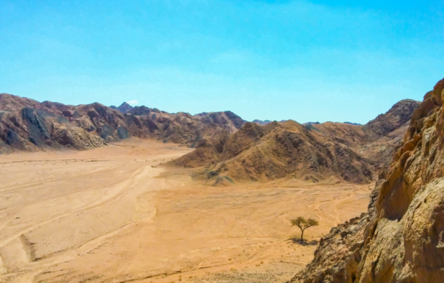 Private Transfer from Luxor to Marsa Alam