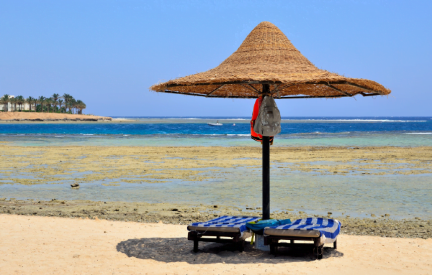 Private Transfer from Luxor to Marsa Alam