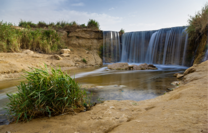 Day Tour from Cairo to Fayoum Oasis