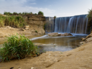 Day Tour from Cairo to Fayoum Oasis
