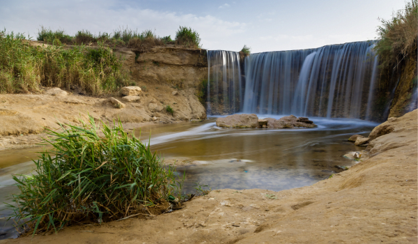 Day Tour from Cairo to Fayoum Oasis