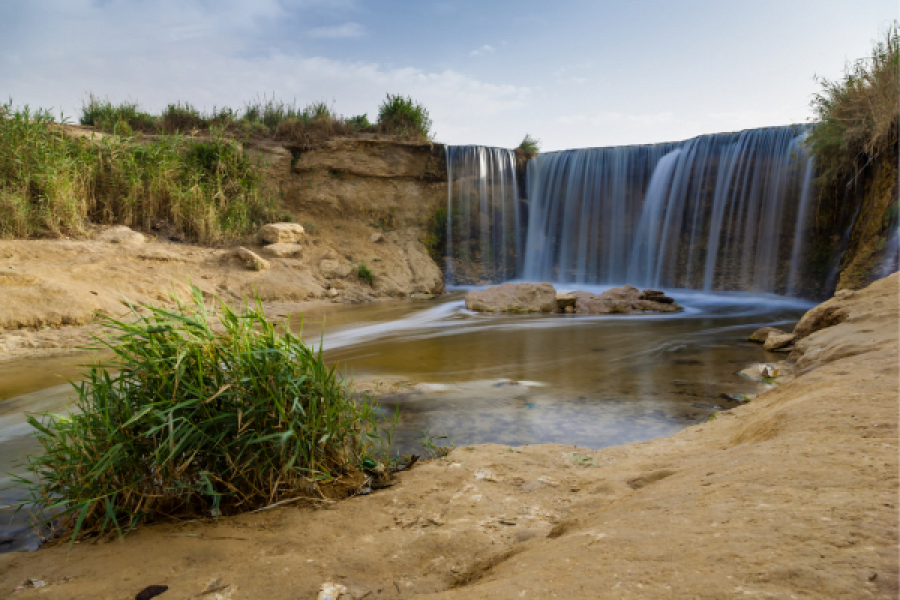 Day Tour from Cairo to Fayoum Oasis