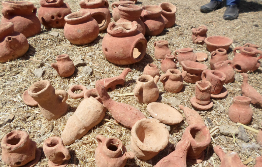 Day Tour from Cairo to Fayoum Oasis